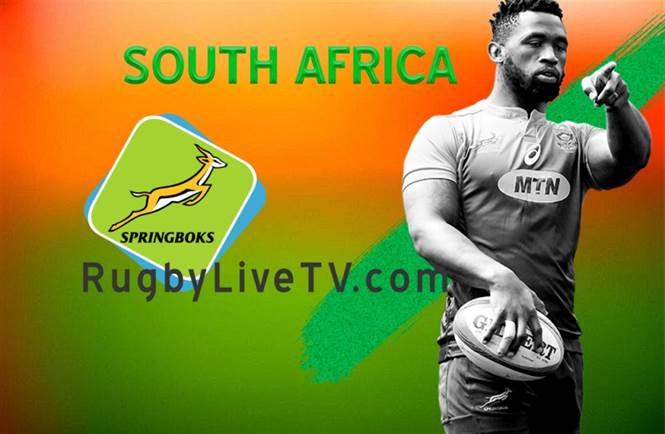 south-africa-rugby-team-live-stream-results-news