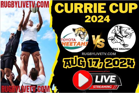 [Currie Cup-RD 7] Cheetahs Vs Sharks 2024 Live Stream & Replay