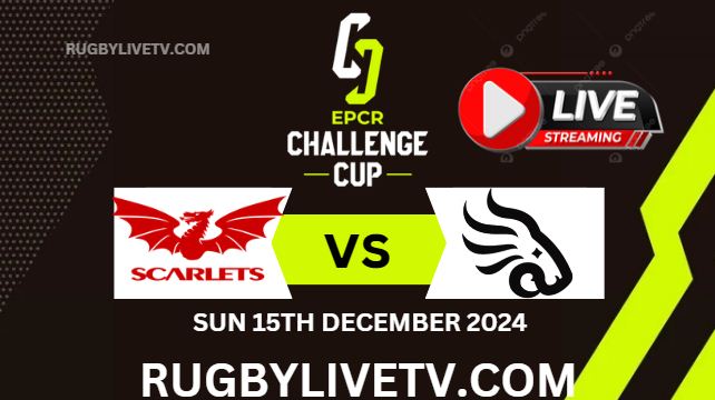 Rd 2 Scarlets Vs Black Lion EPCR Challenge Cup Live Stream 2024