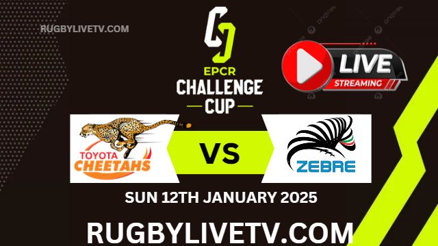 Rd 3 Cheetahs Vs Zebre EPCR Challenge Cup Live Stream 2025